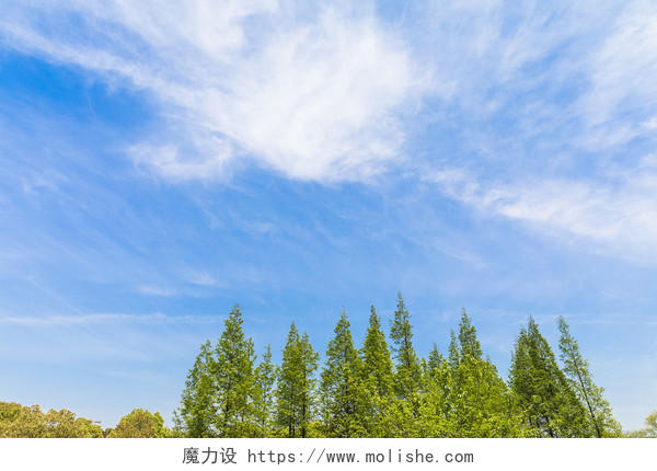 蓝天白云绿色树木图片